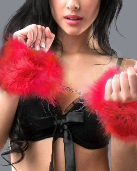 ALGEMAS DE PLUMAS VERMELHAS SECRET PLAY